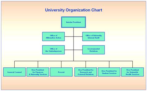 The University Of Mississippi Foundation Org Chart The Org