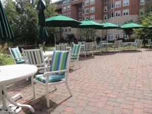 Three Reasons To Choose Cooperative Living Baywoods Of Annapolis