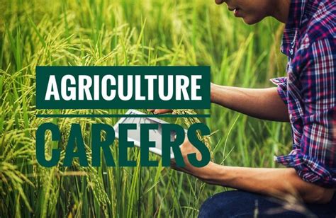 Top 10 Jobs In Agriculture Career Scope In Agriculture Bsc