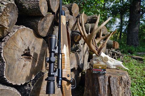 Top 10 New Deer Rifles Rifle Shooter