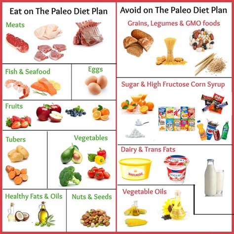 Top High Protein Diets Compared For Weight Loss In 2023 Country