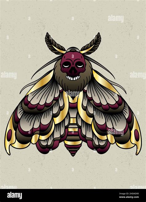 Traditional Moth Tattoo Drawing