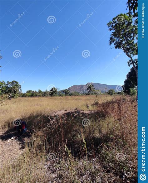 Tree Waterway Adventure Mountain Sunlight Stock Image Image Of Waterway Wall 236212845