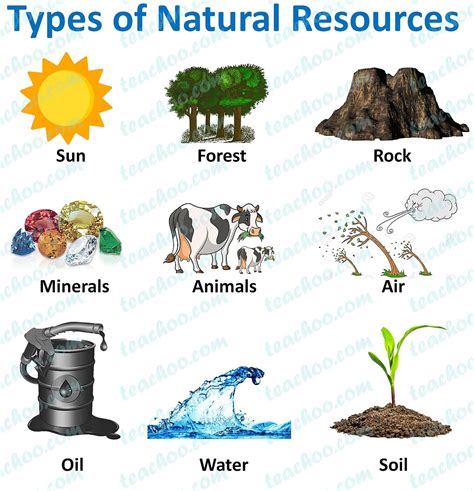 Types Of Resources Images