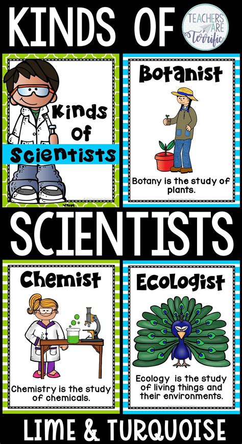 Types Of Scientists Display Posters Teacher Made