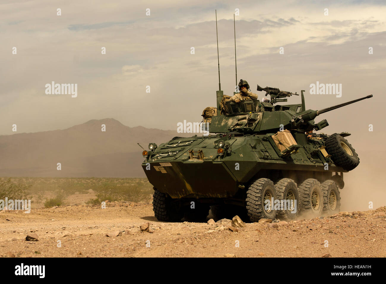 U S Marine Corps Light Armored Vehicle With Bravo Company 2Nd Light