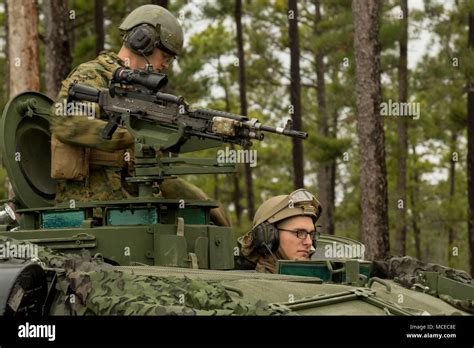 U S Marines With 2Nd Light Armored Reconnaissance Battalion