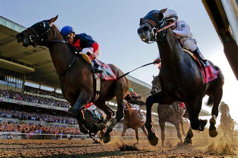 Ultimate Guide 5 Pro Strategies For Uk Horse Racing Wins Hebrew Jpost