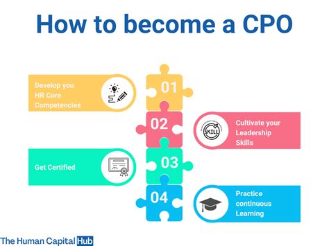 Ultimate Guide: 6 Ways To Become A Cpo