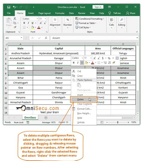 Ultimate Guide Pro Tips To Delete Excel Rows Now Excel Web