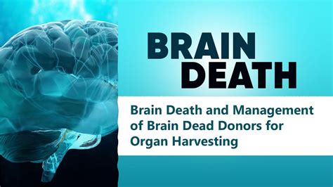 Ultimate Guide To Becoming A Braindead Organ Donor Now