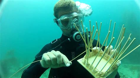 Under Water Basket Weeving Team