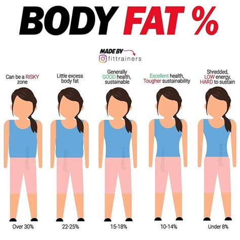 Understanding Body Fat Percentages For Women A Visual Guide