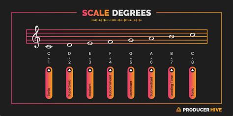 Understanding Scale Degree Names A Quick Crash Course