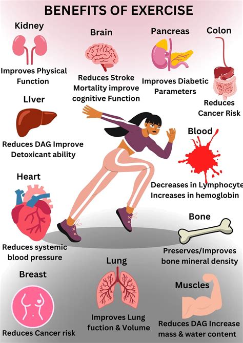 Understanding The Science Of How Exercise Impacts The Body On A Medical