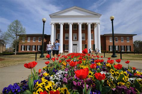 University Of Mississippi Online