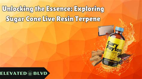 Unlocking The Essence Exploring Sugar Cone Live Resin Terpene By