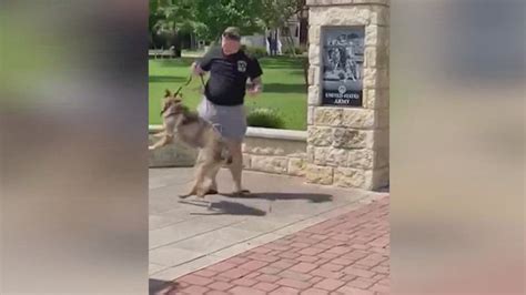 Us Army Canine Handler From Boerne Reunites With Military Dog Kens5 Com