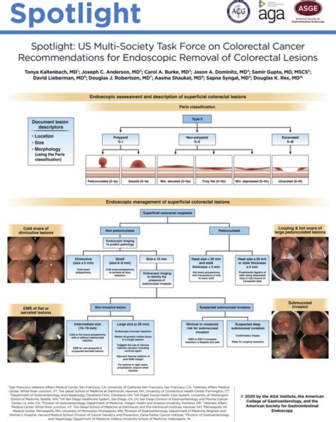 Us Multi Society Task Force On Colorectal Cancer Issues Management