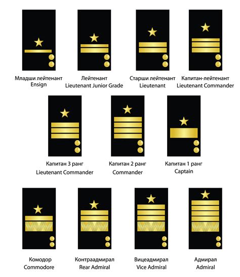 Us Navy Officer Rank Structure