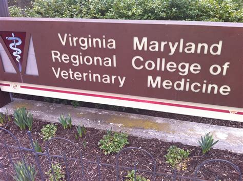 Virginia Maryland College Of Veterinary Medicine Flickr