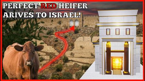 We Are Ready To Build The Third Temple Youtube