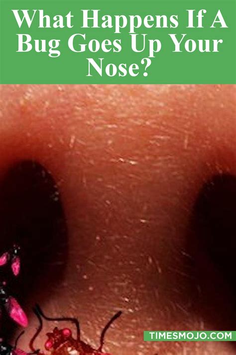 What Actually Happens When A Bug Flies In Your Nose