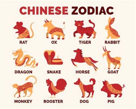 What Do The Chinese New Year Animals Of The Zodiac Symbolise In 2022