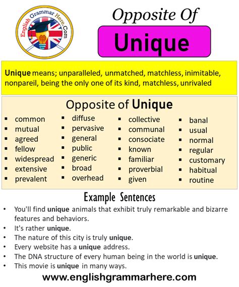 What Is Another Word For Unique Sentences Antonyms And Synonyms For