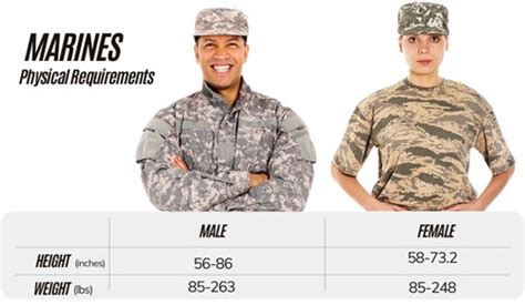 What Is The Marine Corps Height And Weight Standards Bios Pics