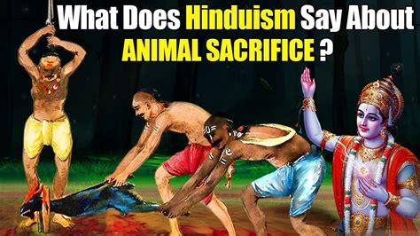 Why Animal Sacrifice In Vedas Youtube