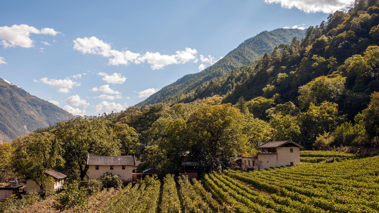 Why China Should Be Your Next Wine Destination Cond Nast Traveler